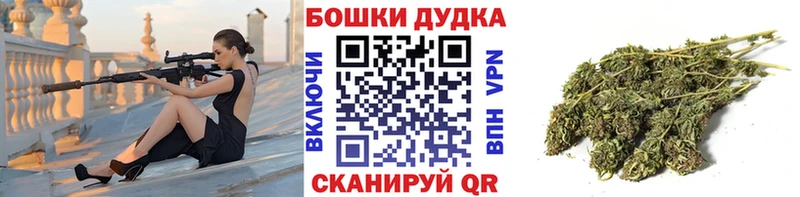 Виды наркоты Гвардейск kraken зеркало Мефедрон Бошки Шишки Cocaine