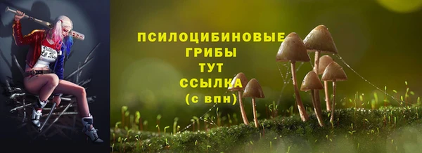 соль ск Волосово