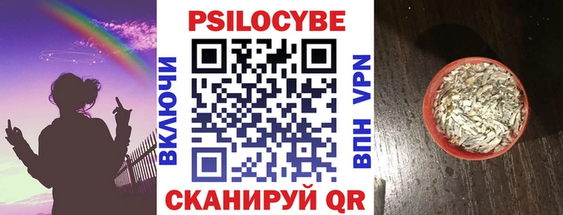 Псилоцибиновые грибы Magic Shrooms Гвардейск