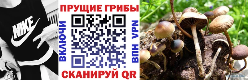 Галлюциногенные грибы Magic Shrooms  Гвардейск 